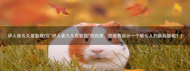 伊人久久中文字幕影院