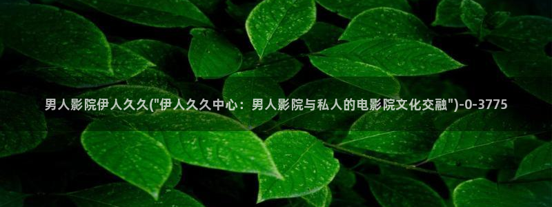 伊人综合在线影院久久4