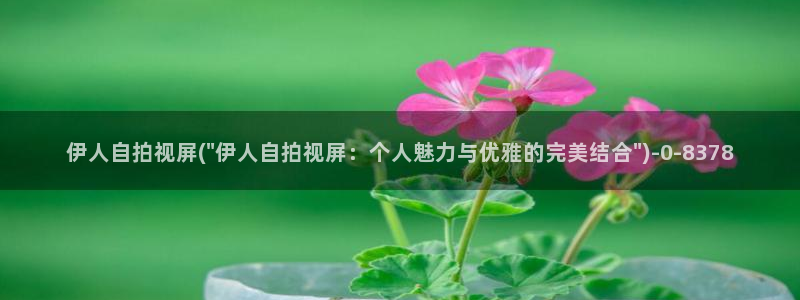 伊人影视网视频