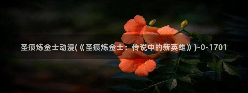 在线看动漫