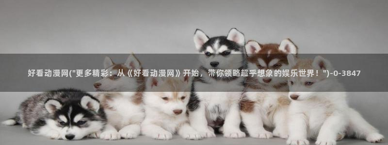 鬼父动漫：好看动漫网(\