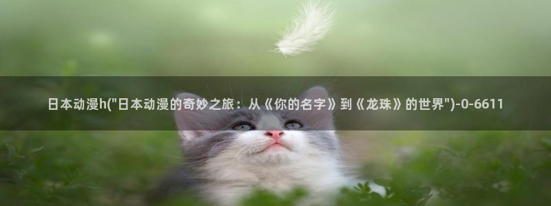 神墓动漫