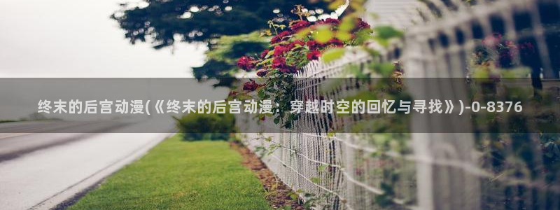 ace动漫：终末的后宫动漫(《终末的后宫动漫：穿越时空的回忆与寻找》)